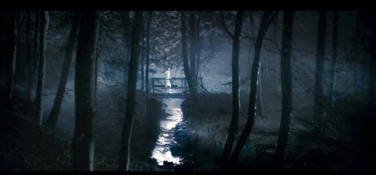 Antichrist By Lars Von Trier Film Film Lars Von Trier